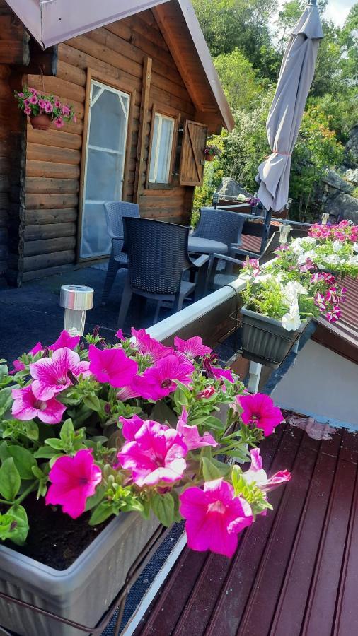 Mali Raj Apartmani Cetinje Buitenkant foto